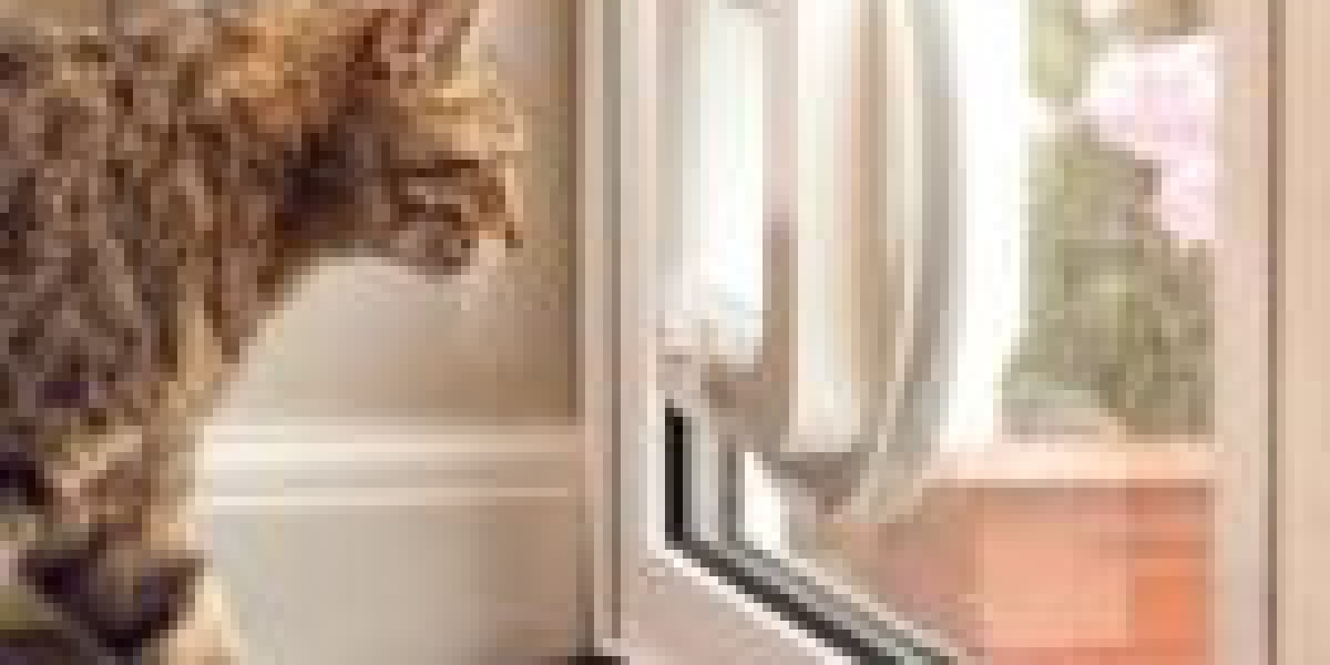The Next Big Event In The Cat Door Contractor Industry